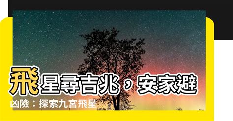 什麼是飛星|【什麼是飛星】飛星尋吉兆，安家避兇險：探索九宮飛星的奧秘